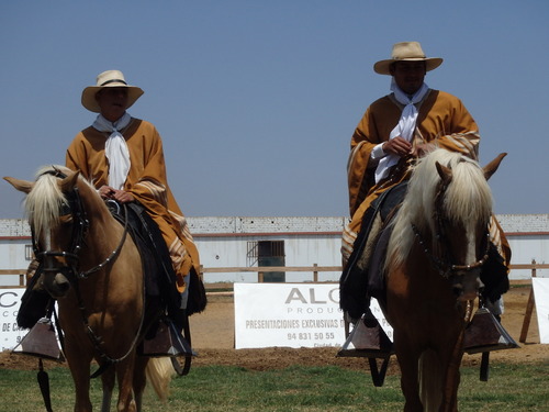 Peruvian Step Horse Show.